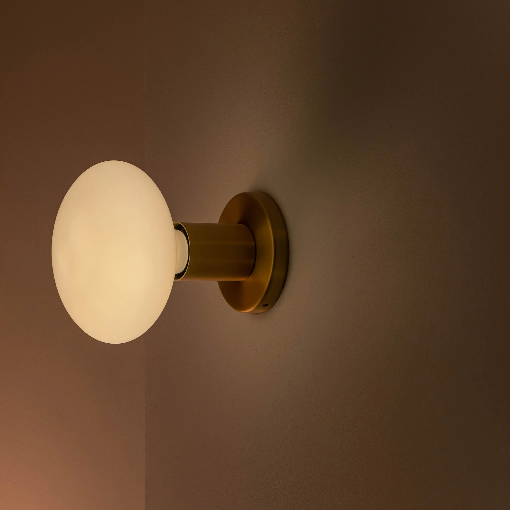 Lochan Wall Light in Brass + Oval - Image 3